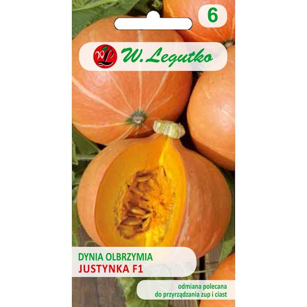 L Dynia olbrzymia Justynka 3g+1g