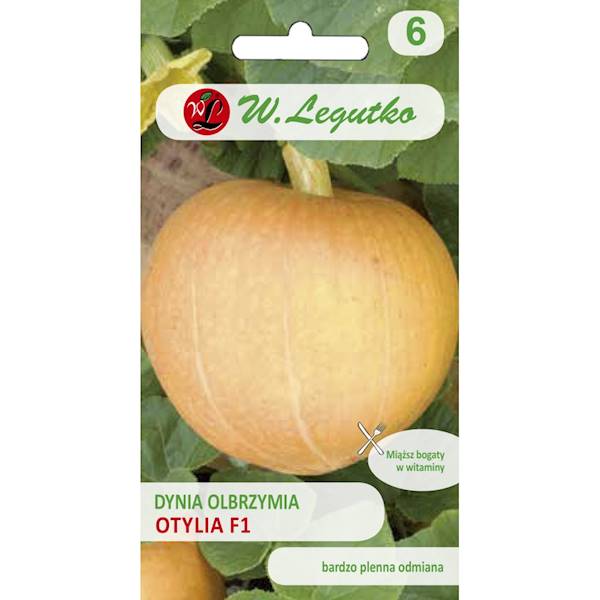 L Dynia olbrzymia Otylia F1  3+1g