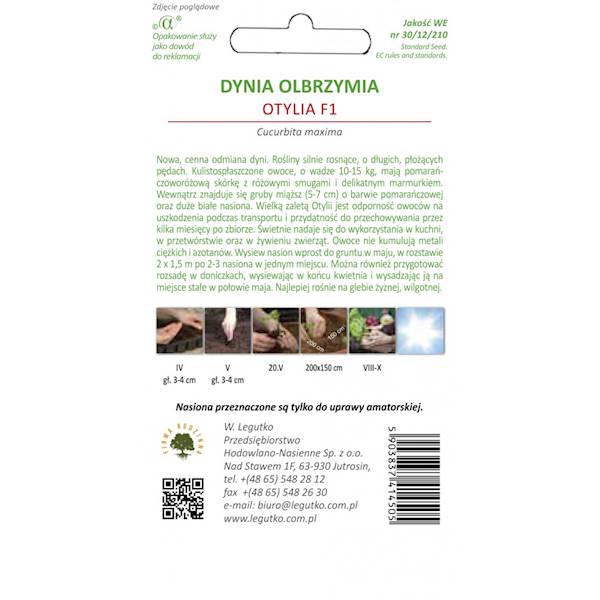 L Dynia olbrzymia Otylia F1  3+1g
