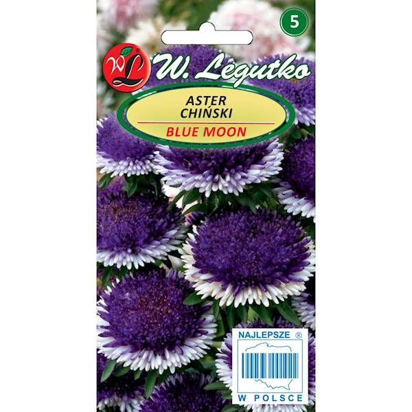 L Aster chiń. Liliput Blue Moon nieb z białym 0,3g