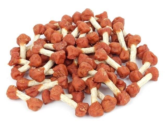 SM HANTELKI KOSTKI Z KURCZAKIEM 500g