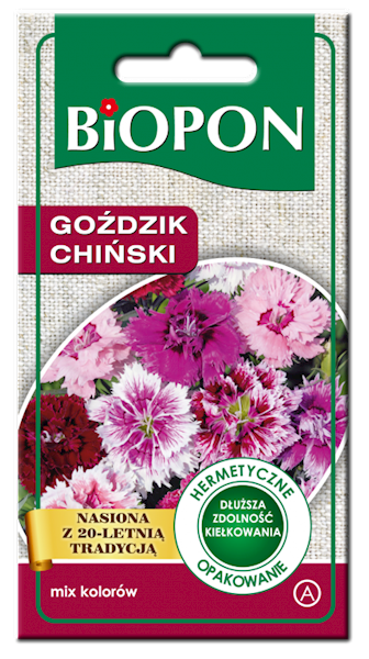 GOŹDZIK CHIŃSKI - NASIONA MIESZANKA 1G