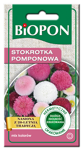 STOKROTKA POMPONOWA - NASIONA MIESZANKA 0,1G