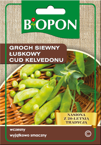GROCH SIEWNY ŁUSKOWY CUD KELVEDONU - NASIONA 40G
