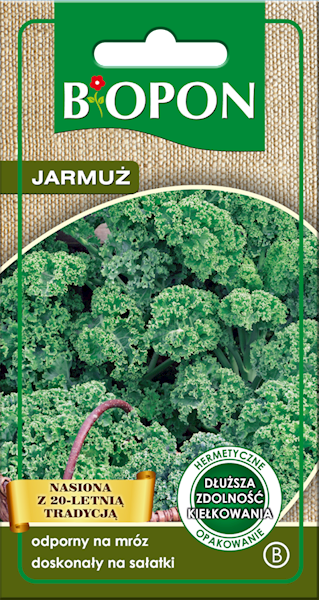 Jarmuż Halbhoher grüner krauser 1 g