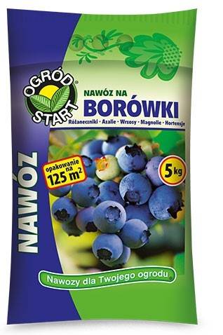 AMPOL NA BORÓWKI 5 KG
