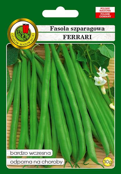 O Fasola zwykła karłowa  szparagowa Ferrari 30g
