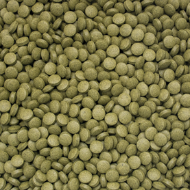 3-ALGAE TABLETS B 250ML / 150G