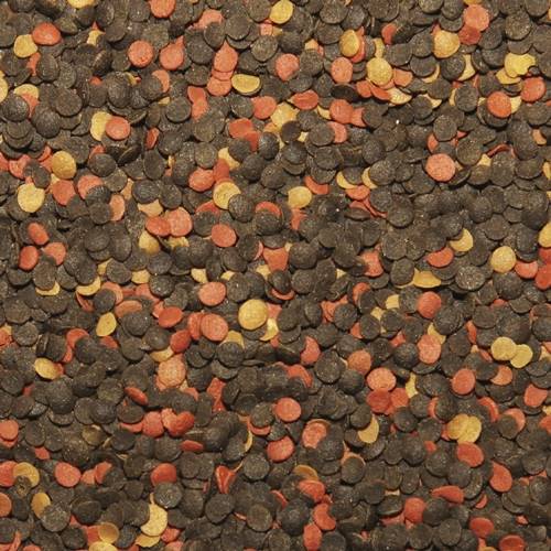 MALAWI CHIPS 250ML/130G