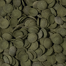GREEN ALGAE WAFERS 250ML/113G