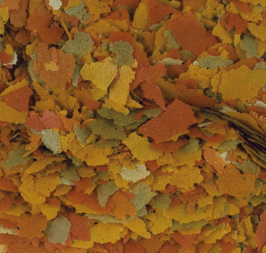 GOLDFISH COLOR 12G