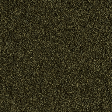 CARIDINA NANO STICKS 10G