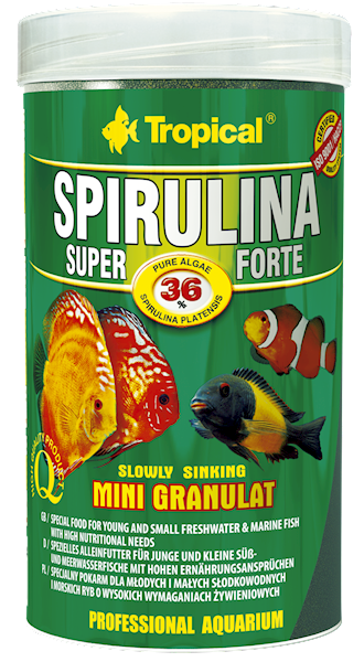 SUPER SPIRULINA FORTE MINI GRANULAT 100ML/56G