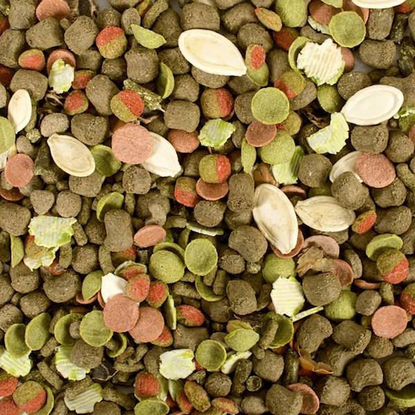 RABBIT - POKARM DLA KRÓLIKA 500G