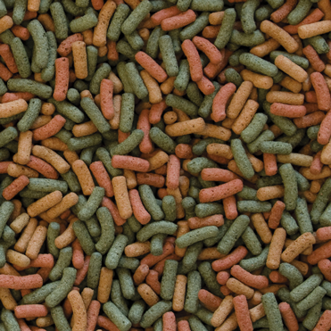BIOREPT W. 20G 