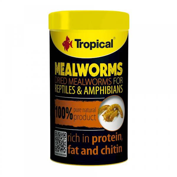 MEAL WORMS 100ML/13G
