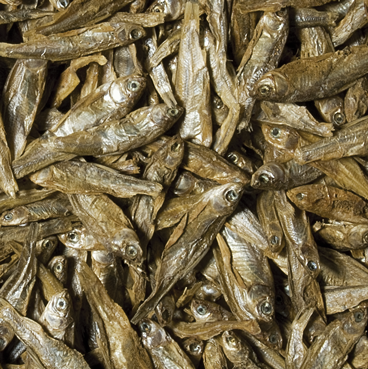DRIED FISH 100ML/15G