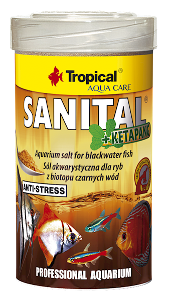 SANITAL + KETAPANG 100ML/55G