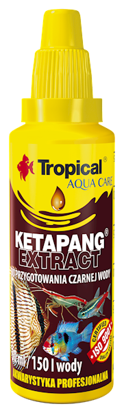KETAPANG EXTRACT 30ML