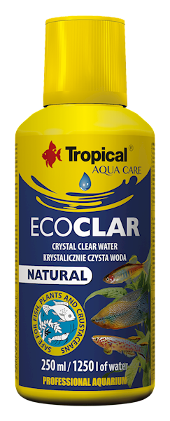 ECOCLAR 250ML