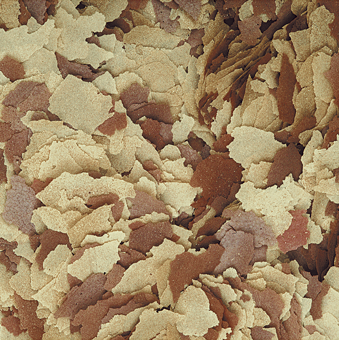 TROPICAL 1000ML/200G 