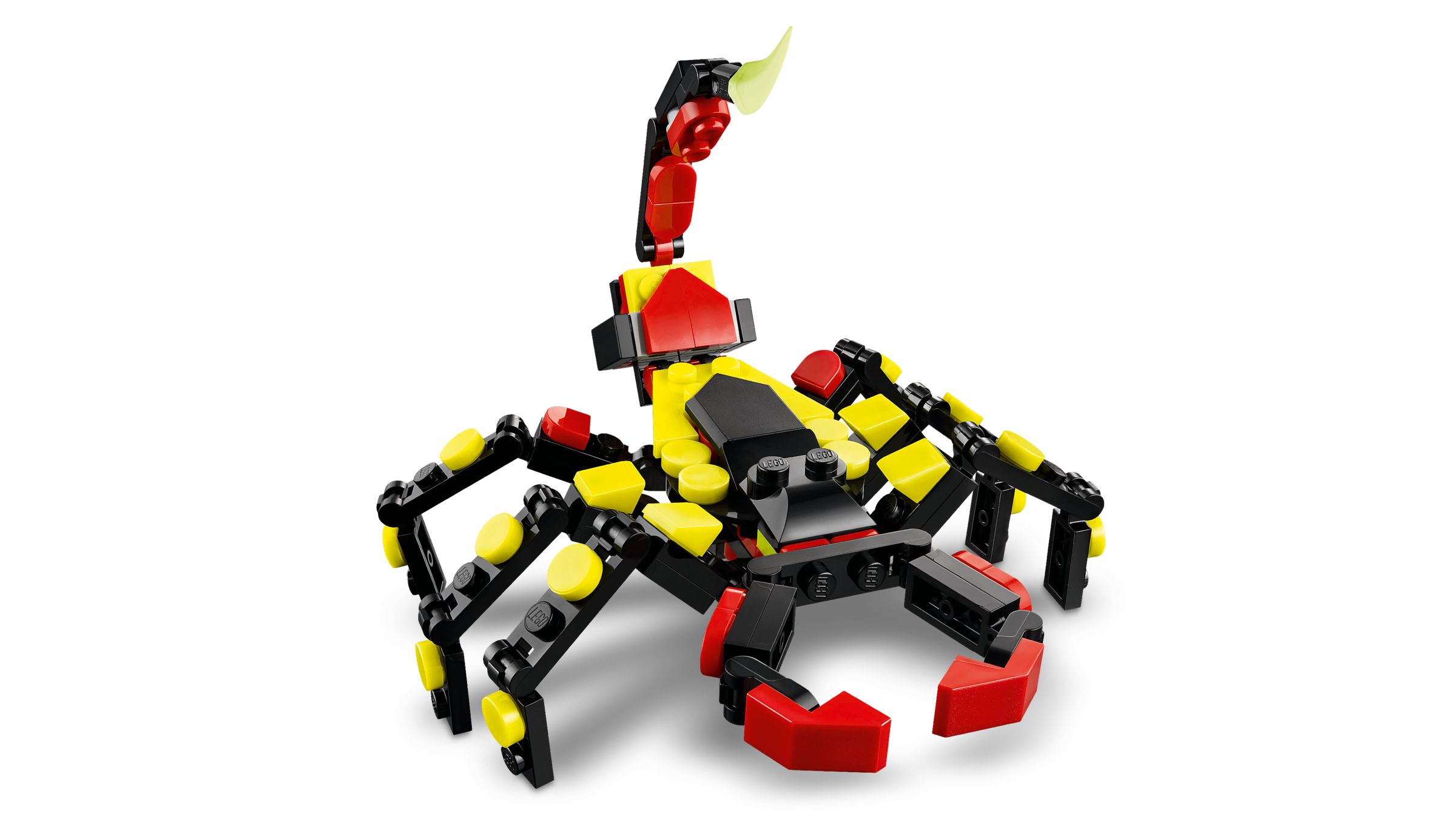 LEGO Creator 3w - Dzikie zwierzęta: niezwykły pająk Art. 31159