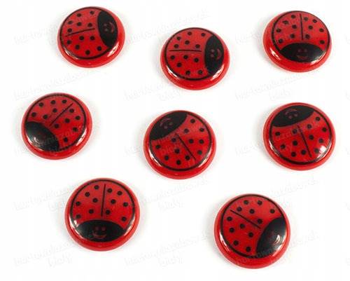 Magnesy do tablic 20mm 8szt