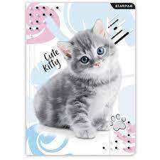 TECZKA gumka  - STAR    CUTE KITTY       3502