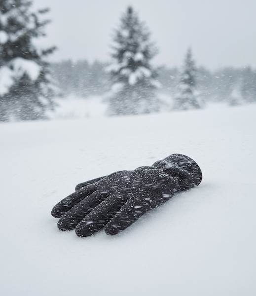 RĘKAWICE POLSTAR ALASKA CZARNE 8