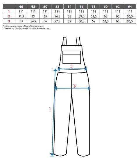 SPODNIE OGRODNICZKI CXS STRETCH SZARO-CZARNE 58