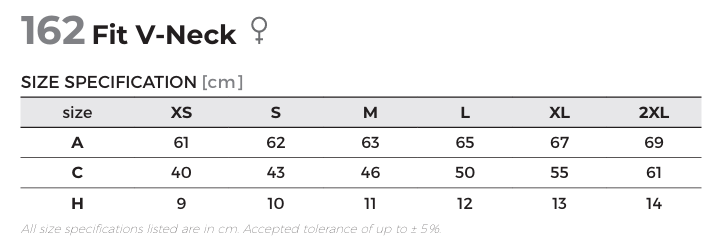 KOSZULKA DAMSKA T-SHIRT MALFINI FIT V-NECK 162 FUCHSIA RED S