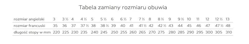 TRZEWIKI ARTRA AROSERIO 750 616560 S3 SRC ESD CZARNO-SREBRNE 40