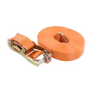 PAS TRANSPORTOWY 5T/4M 