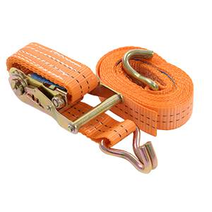PAS TRANSPORTOWY 2T/3M  