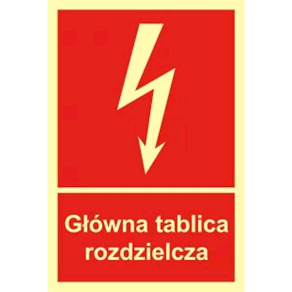 ZP-69 GŁÓWNA TABLICA ROZDZIELCZ, PŁYTA FOTO 15X20