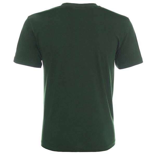 KOSZULKA PROMOSTARS STANDARD MĘSKA ZIELEŃ 28 R XL