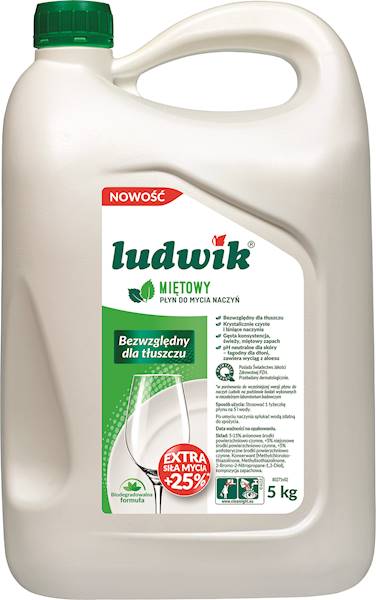 LUDWIK mięta  5L