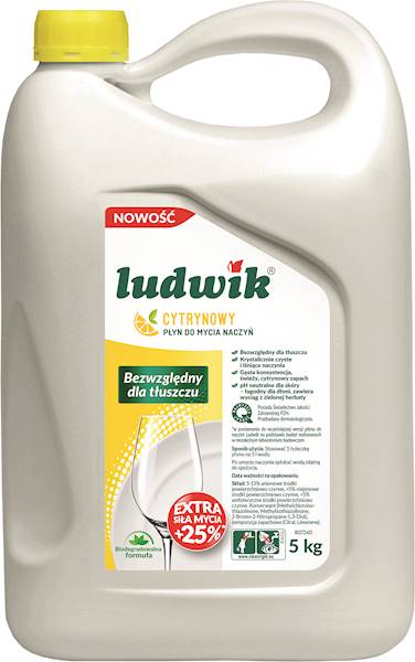 LUDWIK 5L cytryna