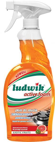 LUDWIK do zatłuszczonych pow.  600ml  ex.frutis