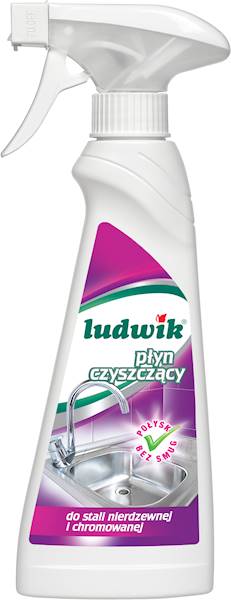 LUDWIK płyn  do stali nierdz. 250 ml