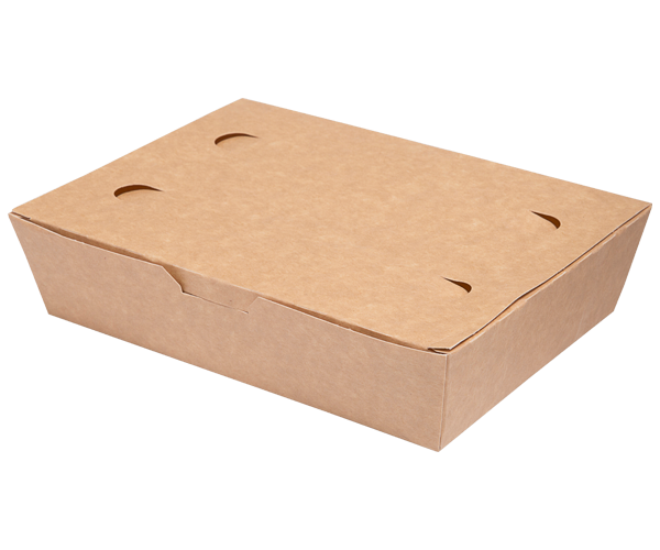 Pudełko  foodbox 20x10x5 a'100 7520105 Nature