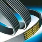 P 6PK 923 GATES - pas