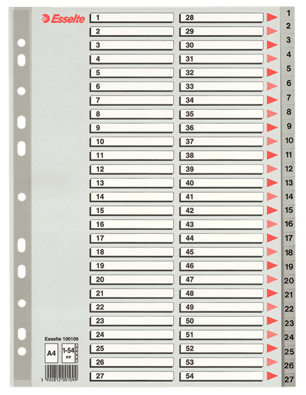 Przekładki Esselte plastikowe szare A4 1-54 100109