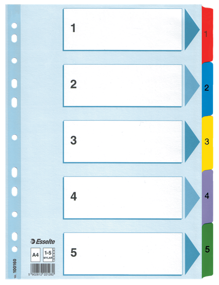 Przekładki Esselte Mylar A4 5kart 100160