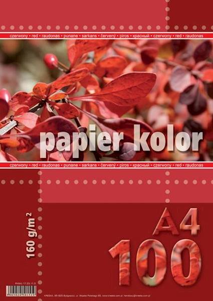 Papier ksero A4 160g czerwony 100ark