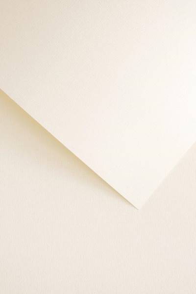 Karton wizytówkowy KRATKA kremowy 220g