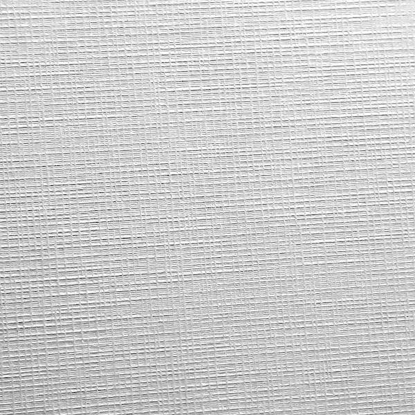 Karton wizytówkowy Protos sito biały 246g/20 ark