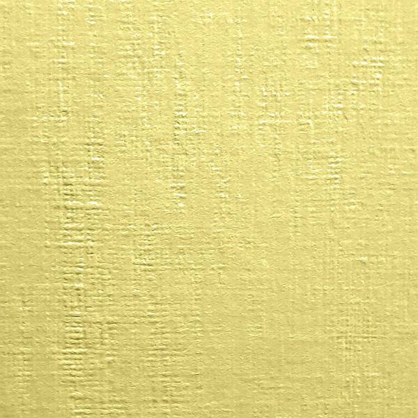 Karton wizytówkowy Protos płótno krem 246g/20 ark