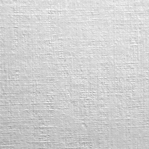 Karton wizytówkowy Protos płótno biały 246g/20 ark