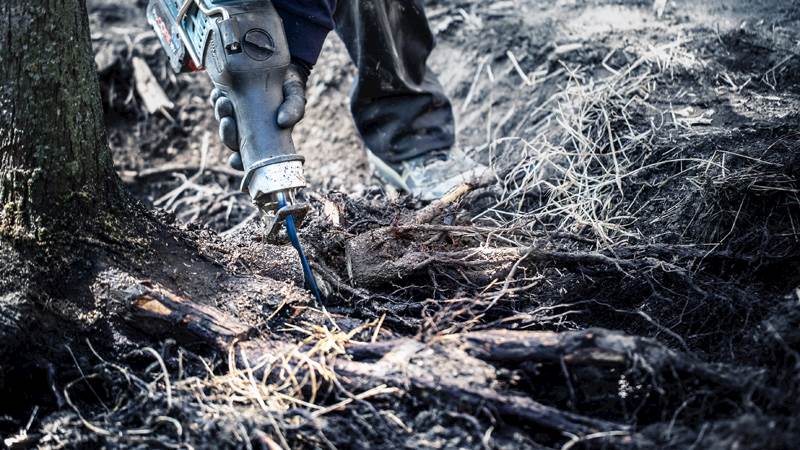 BRZESZCZOT DO ELEKTRONARZĘDZI BOSCH S1242KHM METAL